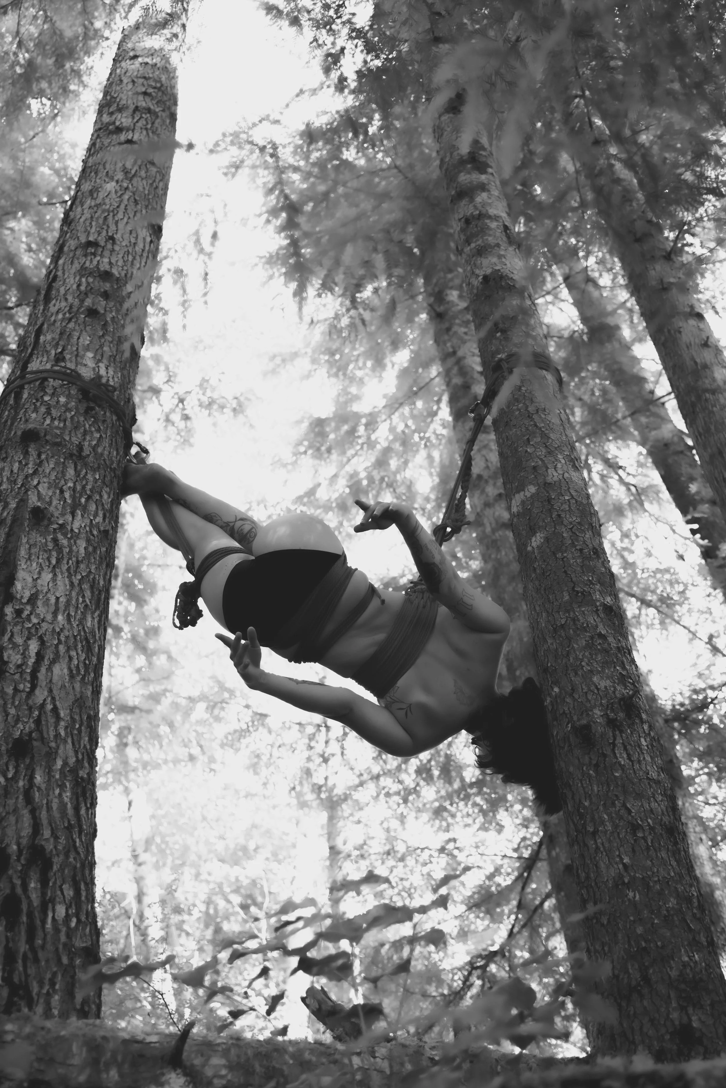 Jade in Trees-29.jpg