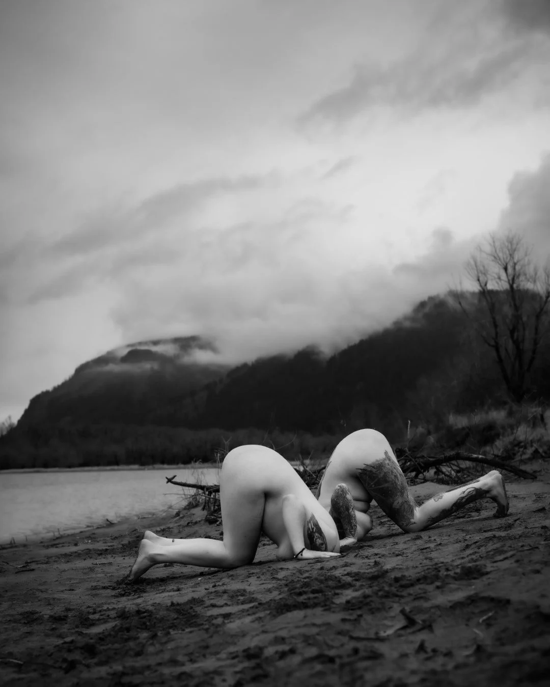 Rooster rock-78 (Large).JPG