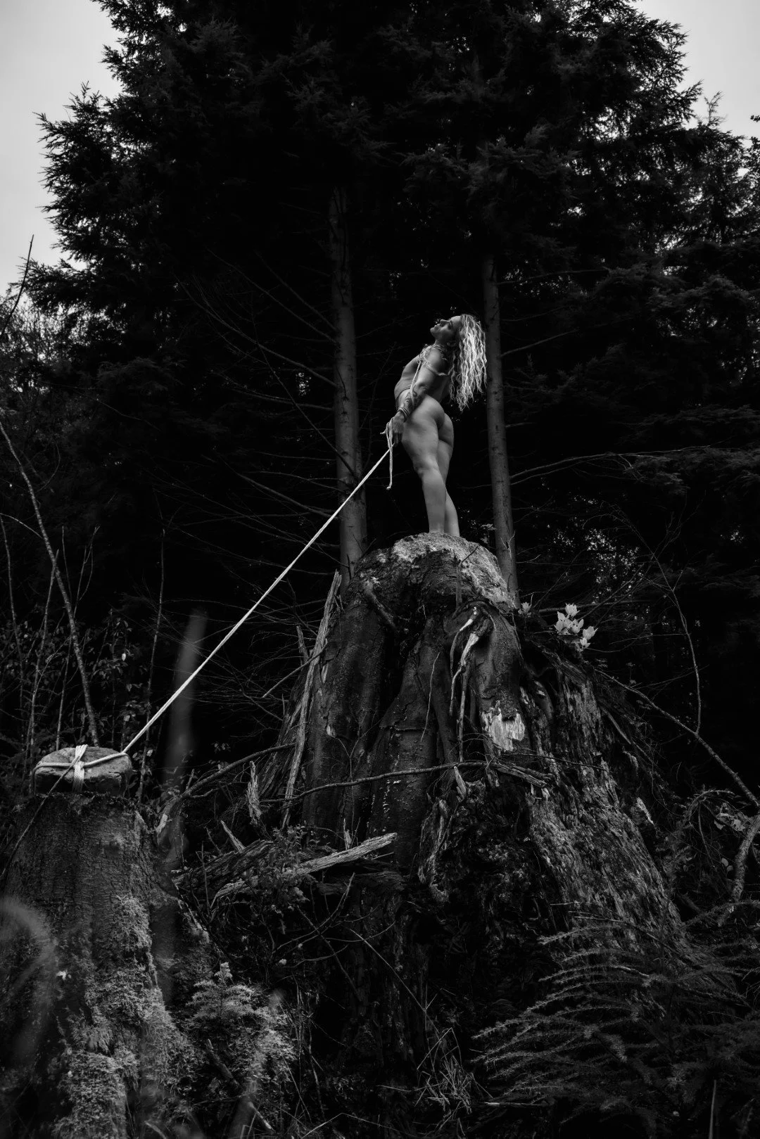 Burdened-2 (Large).JPG