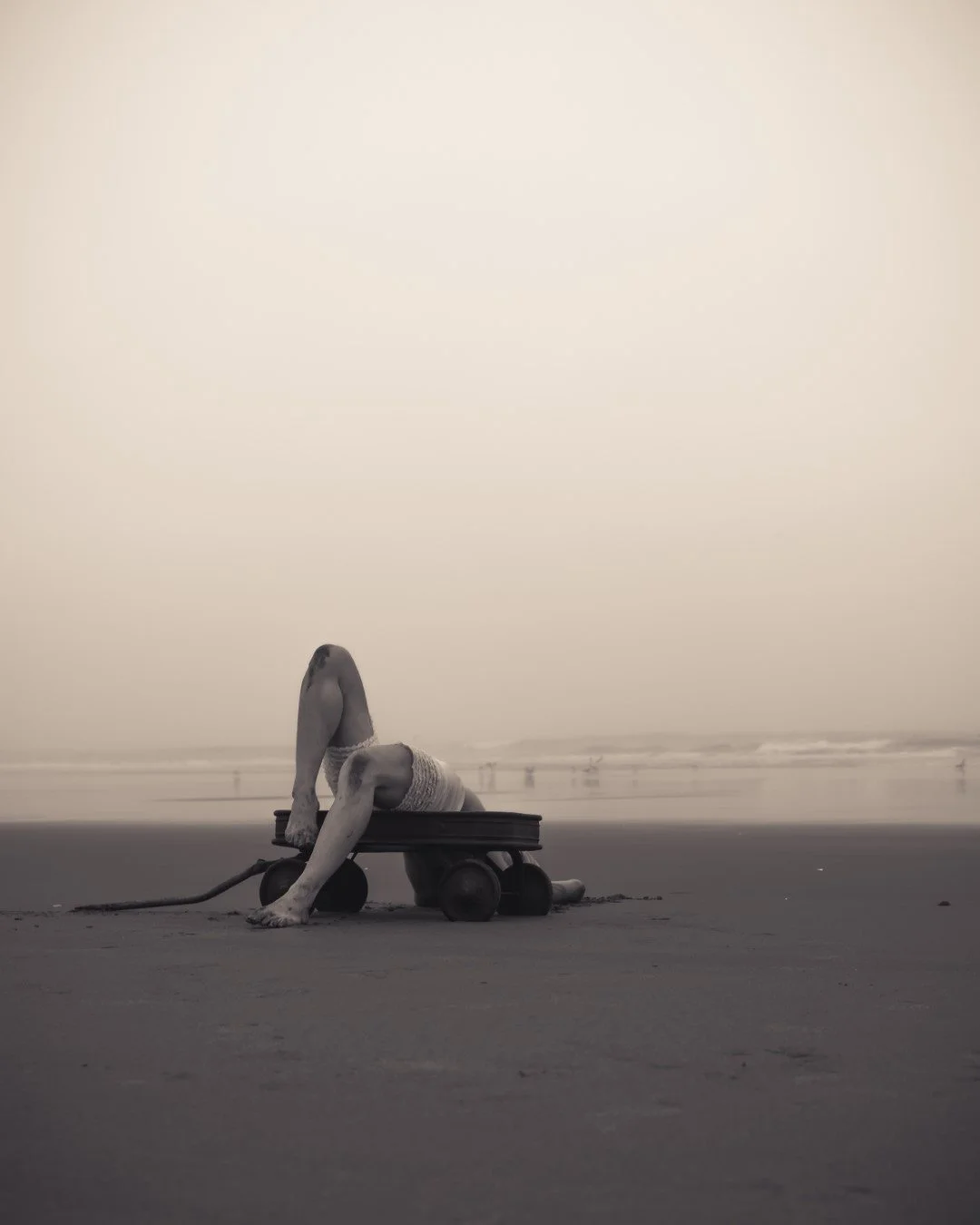 wagon-38 (Large).JPG