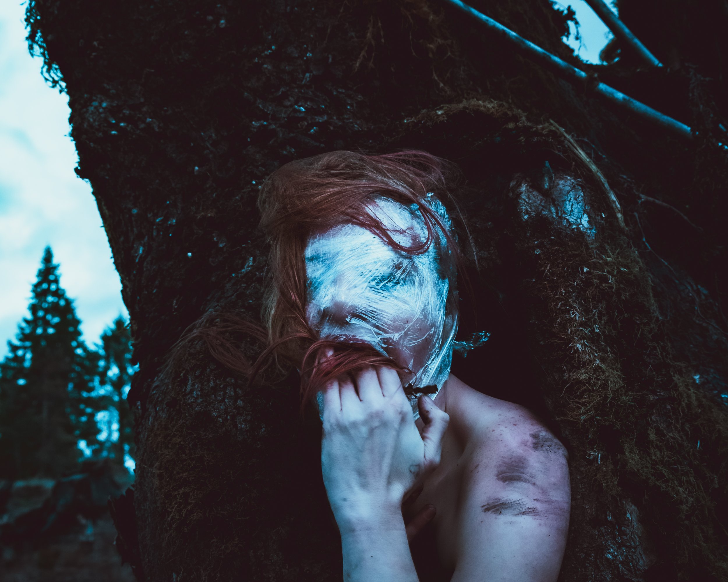 Saran Wrap Tree-28.jpg