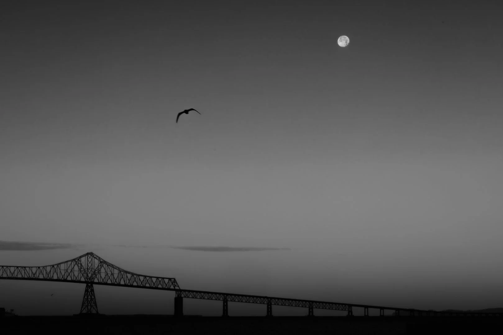 moon bath-9 (Large).JPG