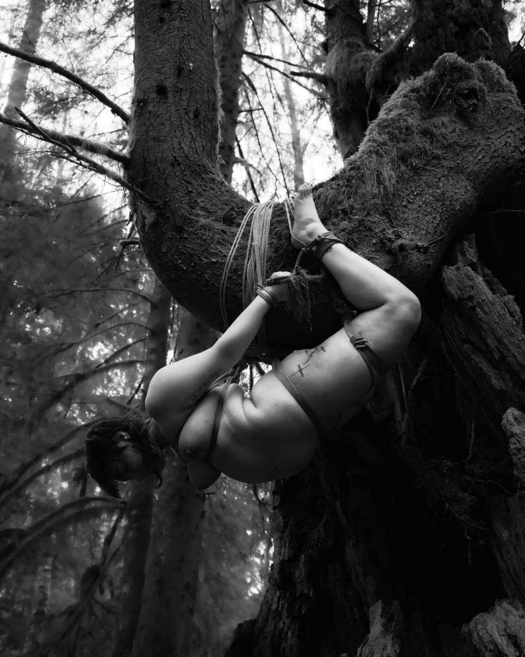Billie Suspension-4 (Large).JPG