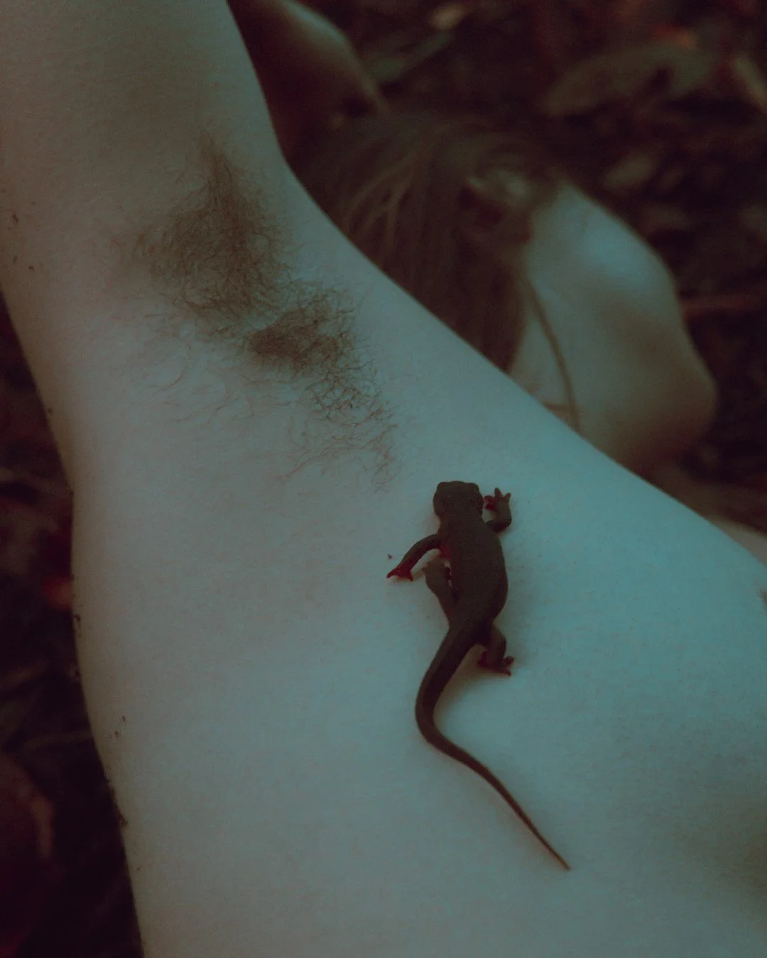 Enduring-6 (Large).JPG