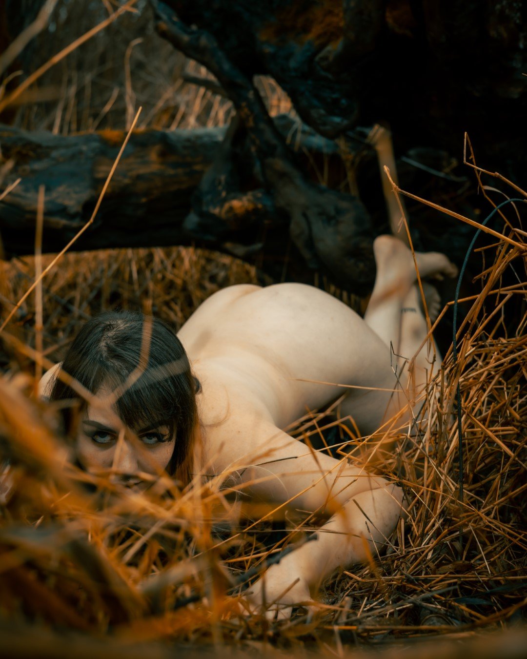 Rooster rock-14 (Large).JPG