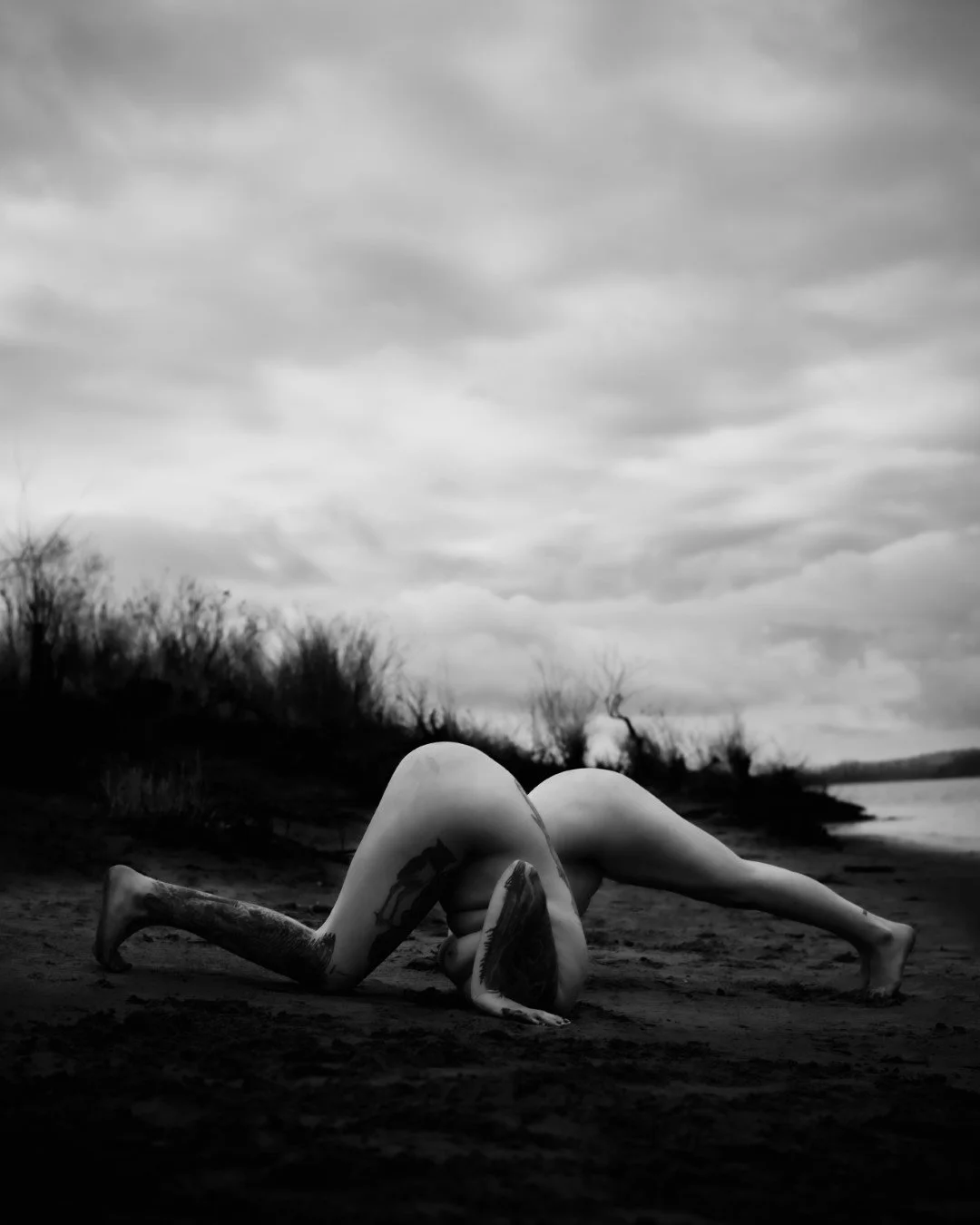 Rooster rock-81 (Large).JPG