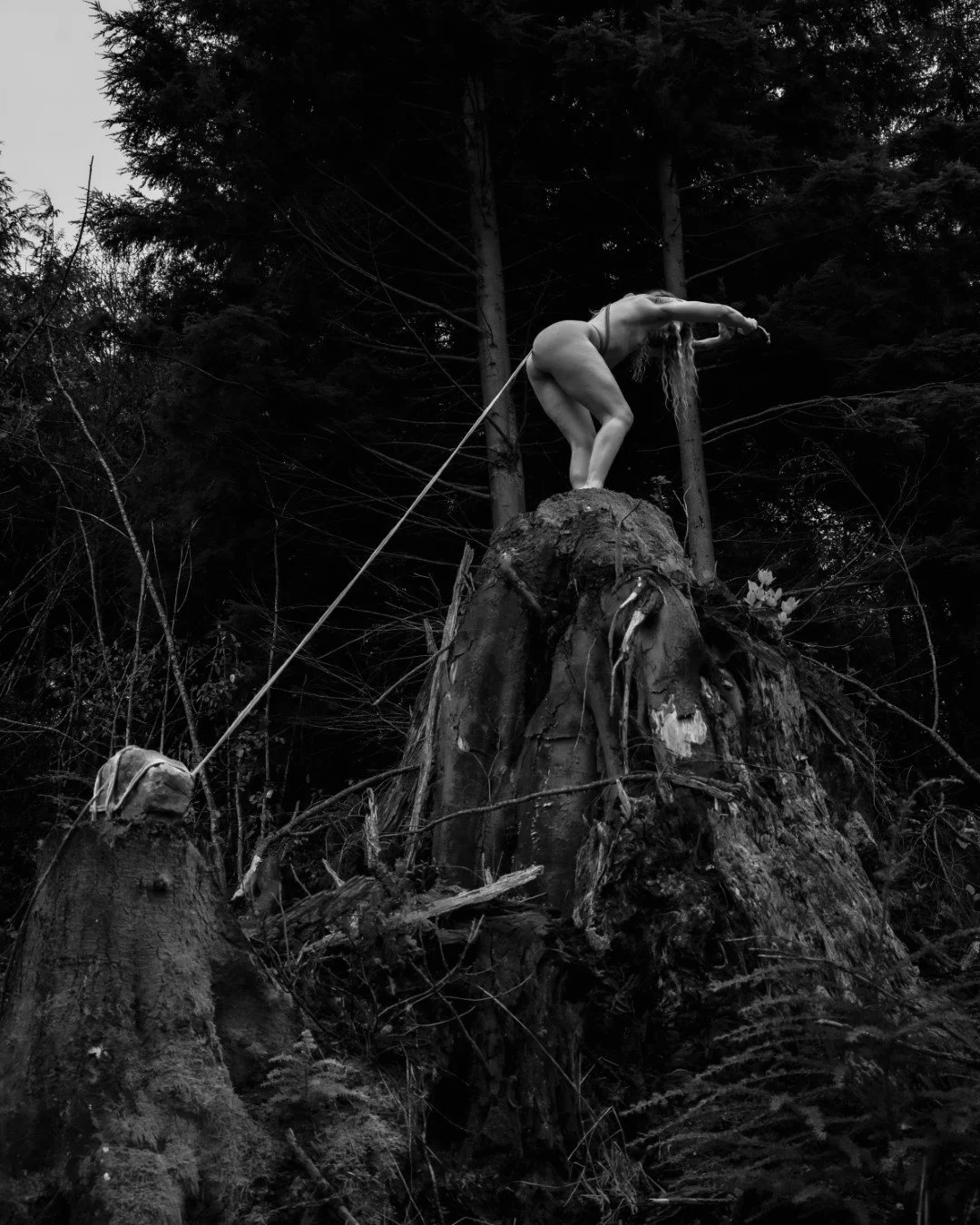 Burdened-9 (Large).JPG