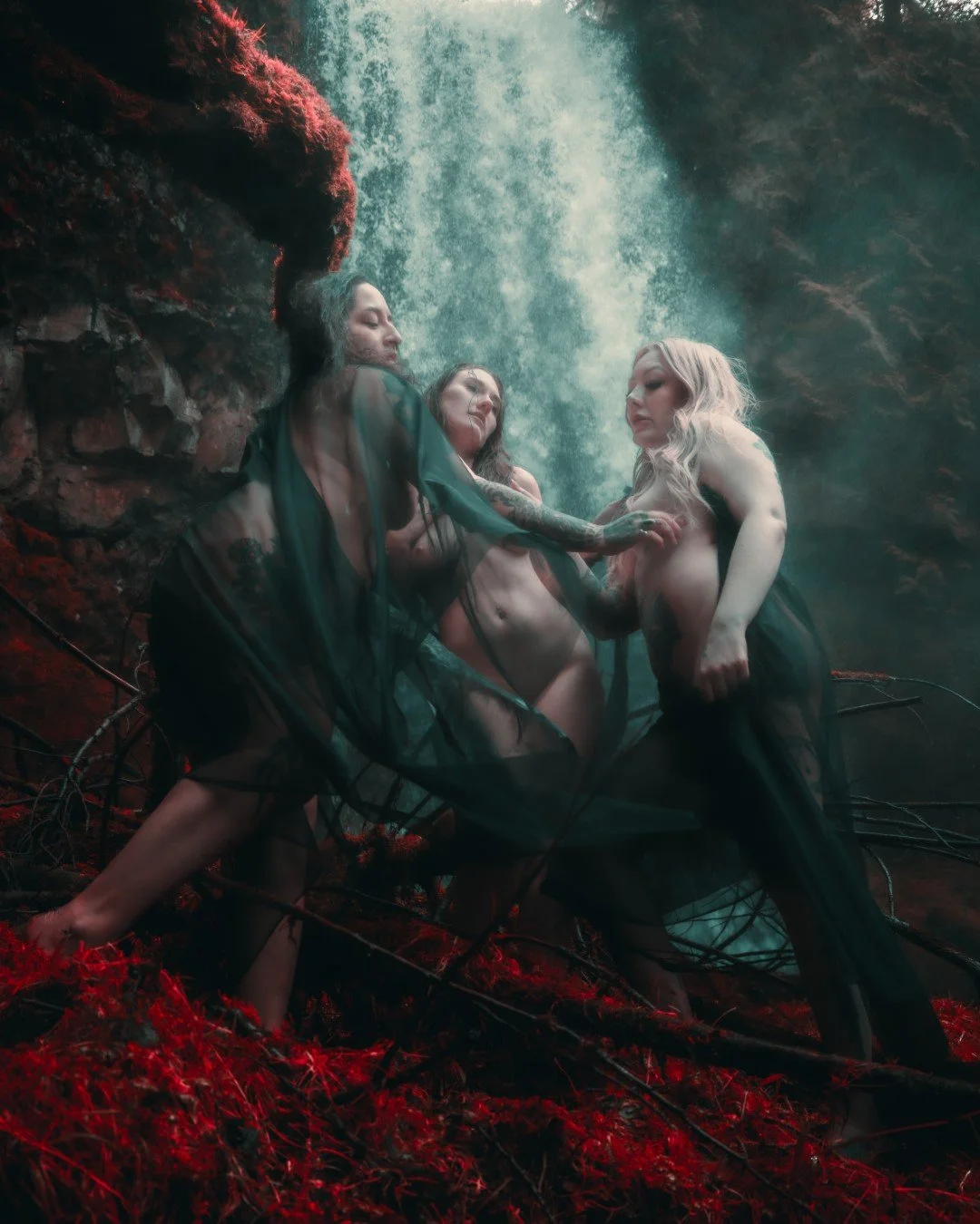 gnat falls snow-10 (Large).JPG