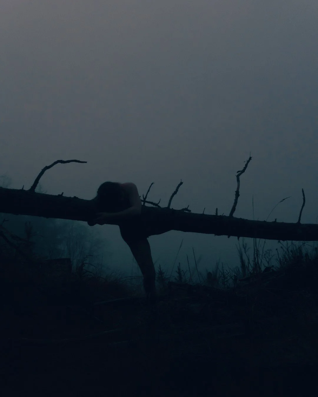 woods groupsex-2 (Large).JPG