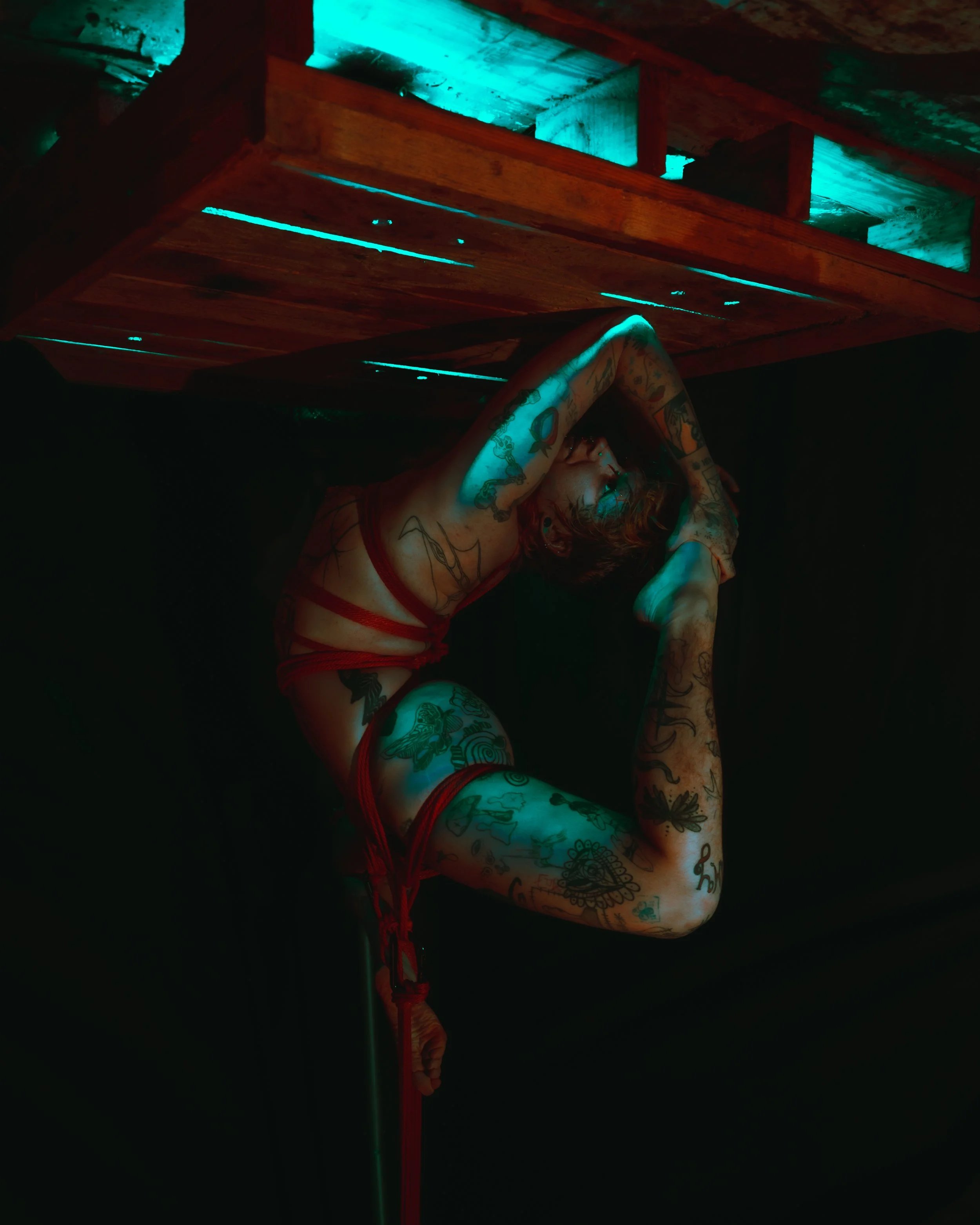 Alice rope and tubes-24.JPG