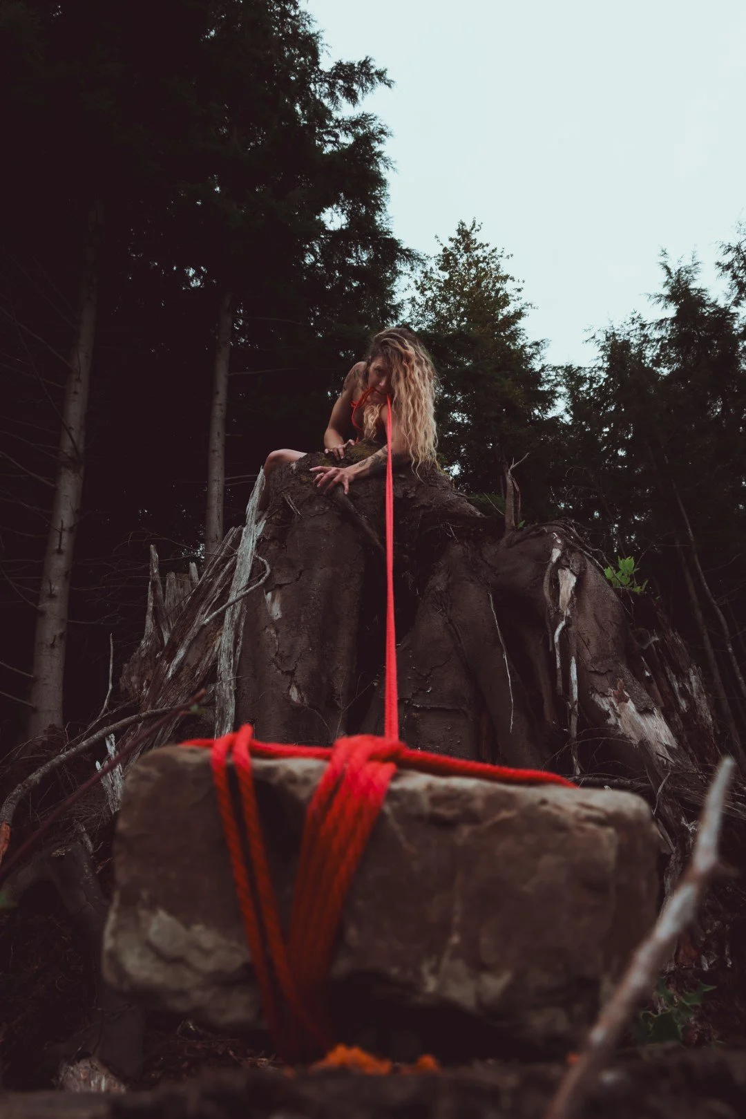 Burdened-20 (Large).JPG