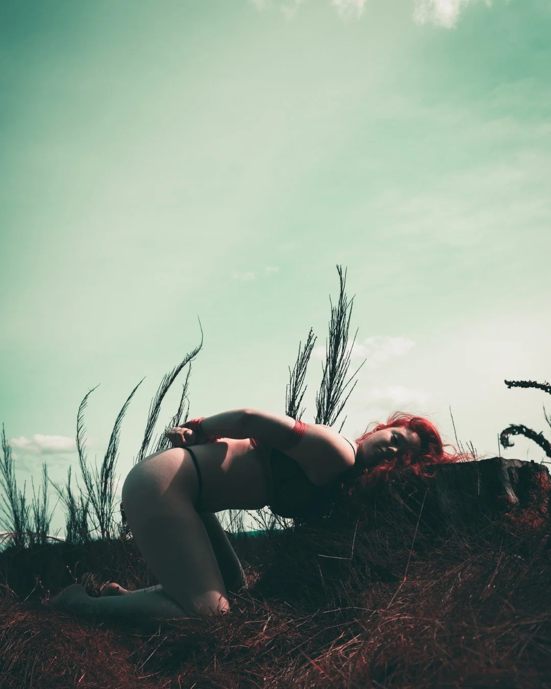 The execution-5 (Large).JPG