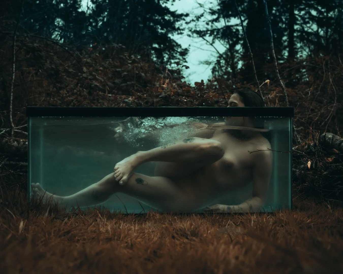 Shy Tank-59 (Large).JPG