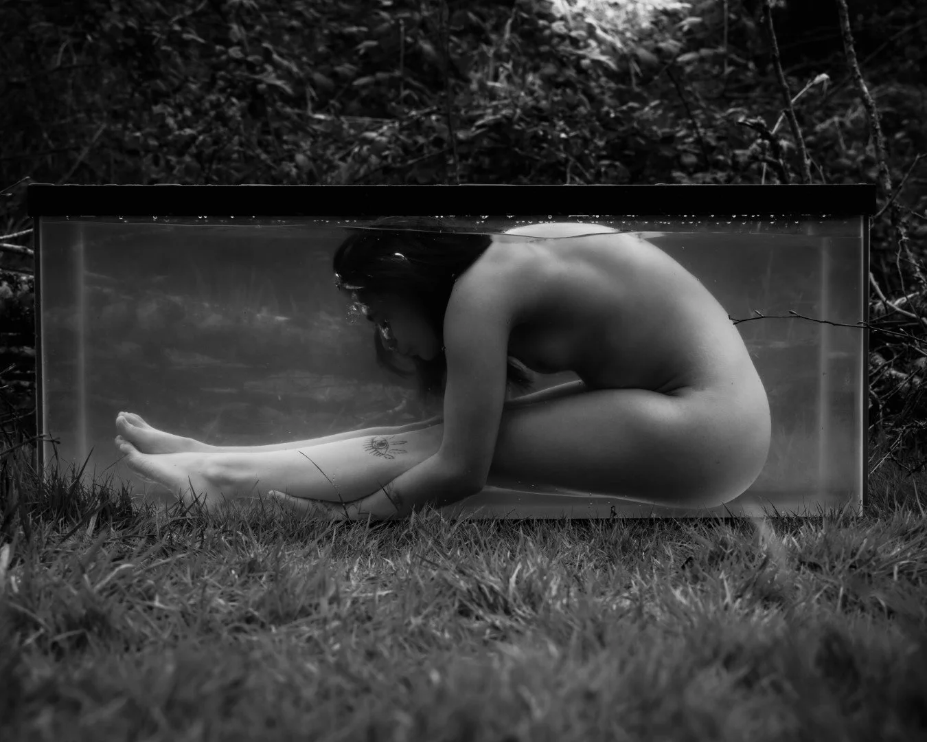 Shy Tank-41 (Large).JPG