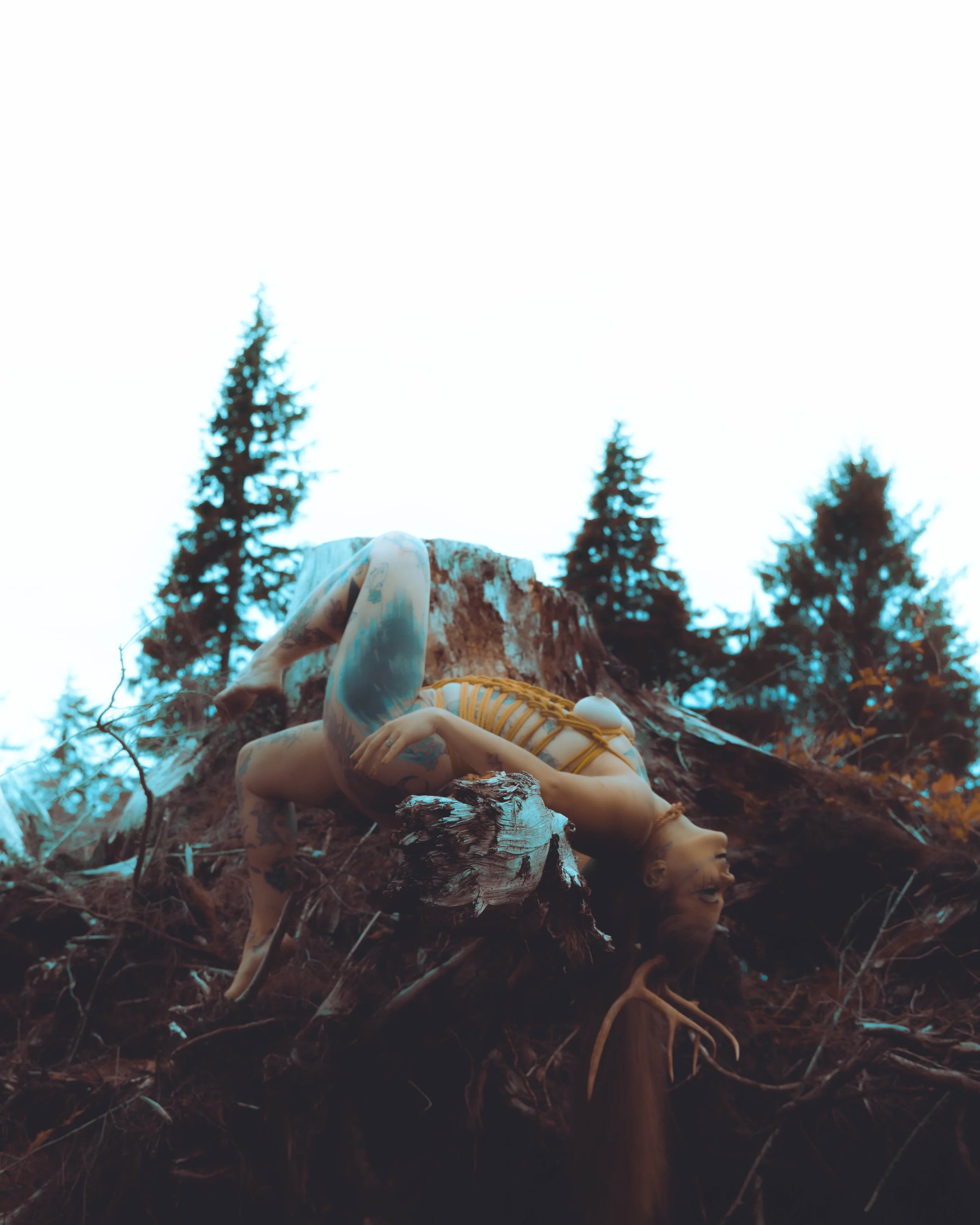 Kiera antlers-37.jpg