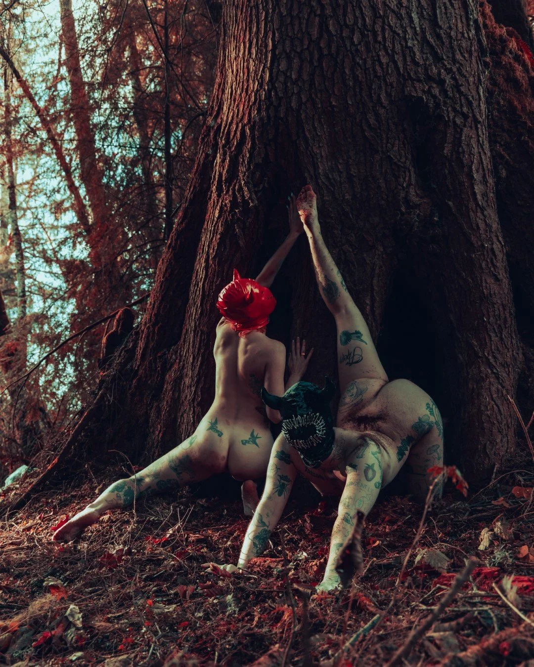 devil tree-25 (Large).JPG