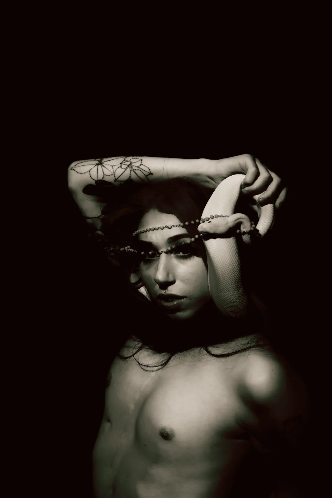 Nyx and Zuzu-58 (Large).JPG