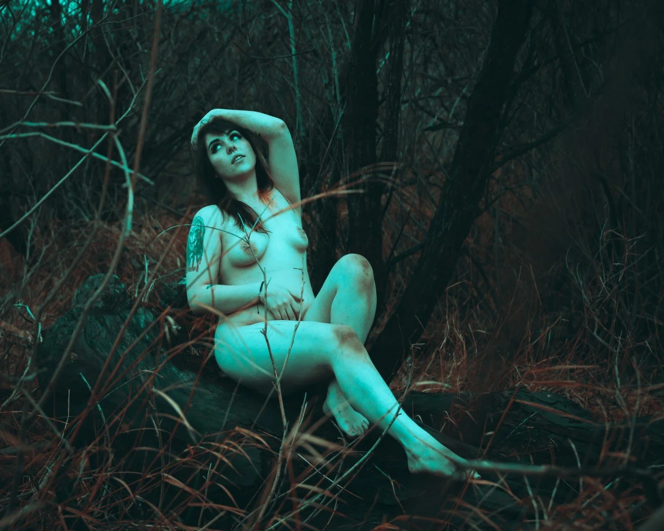 Rooster rock-16 (Large).JPG