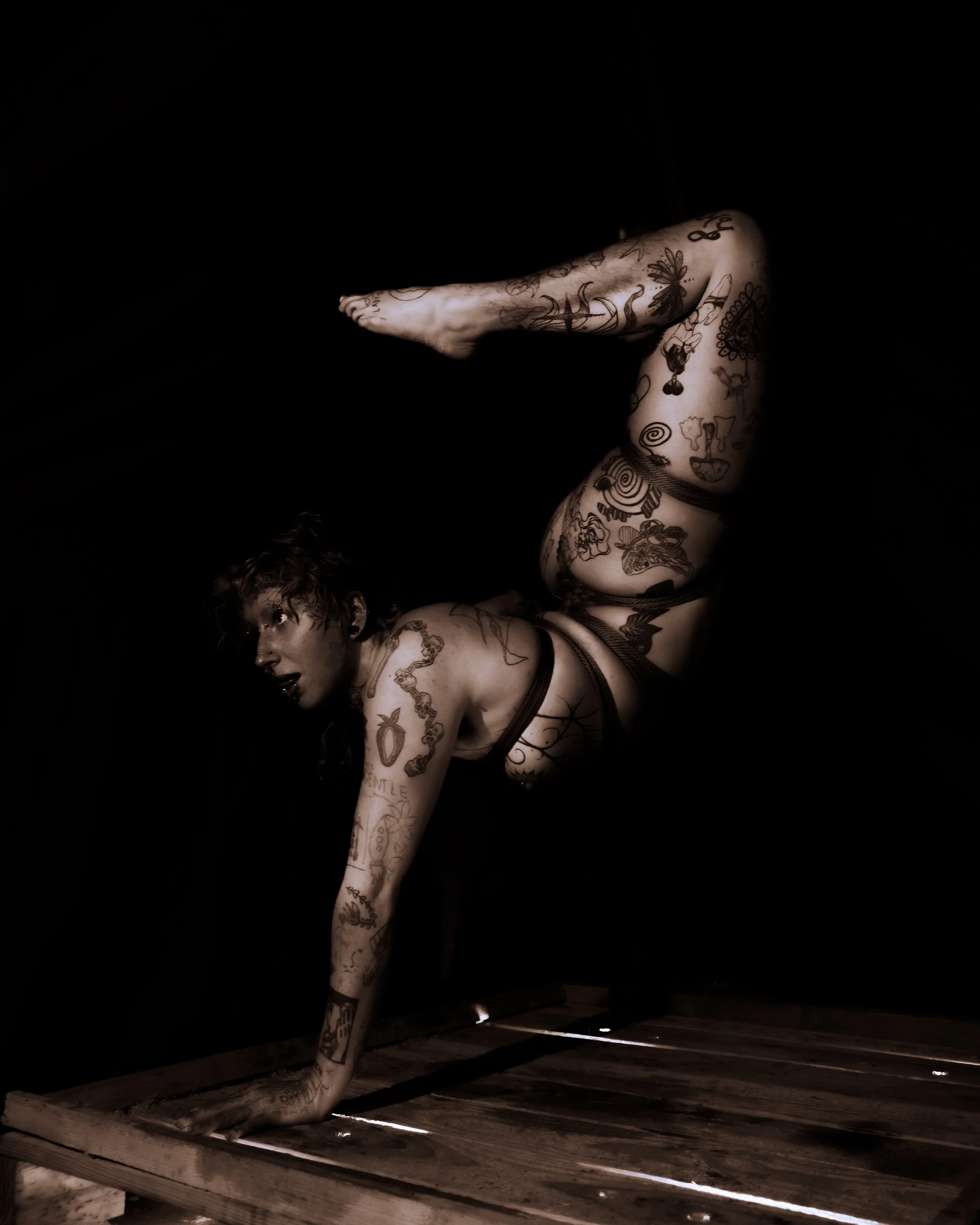 Alice rope and tubes-23.JPG