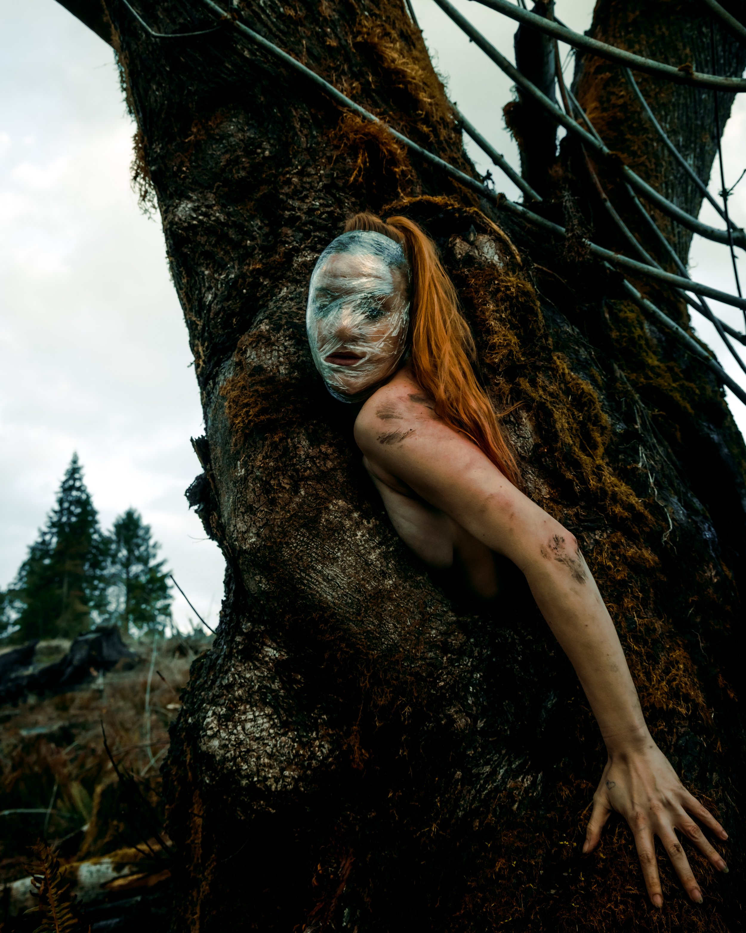 Saran Wrap Tree-24.jpg