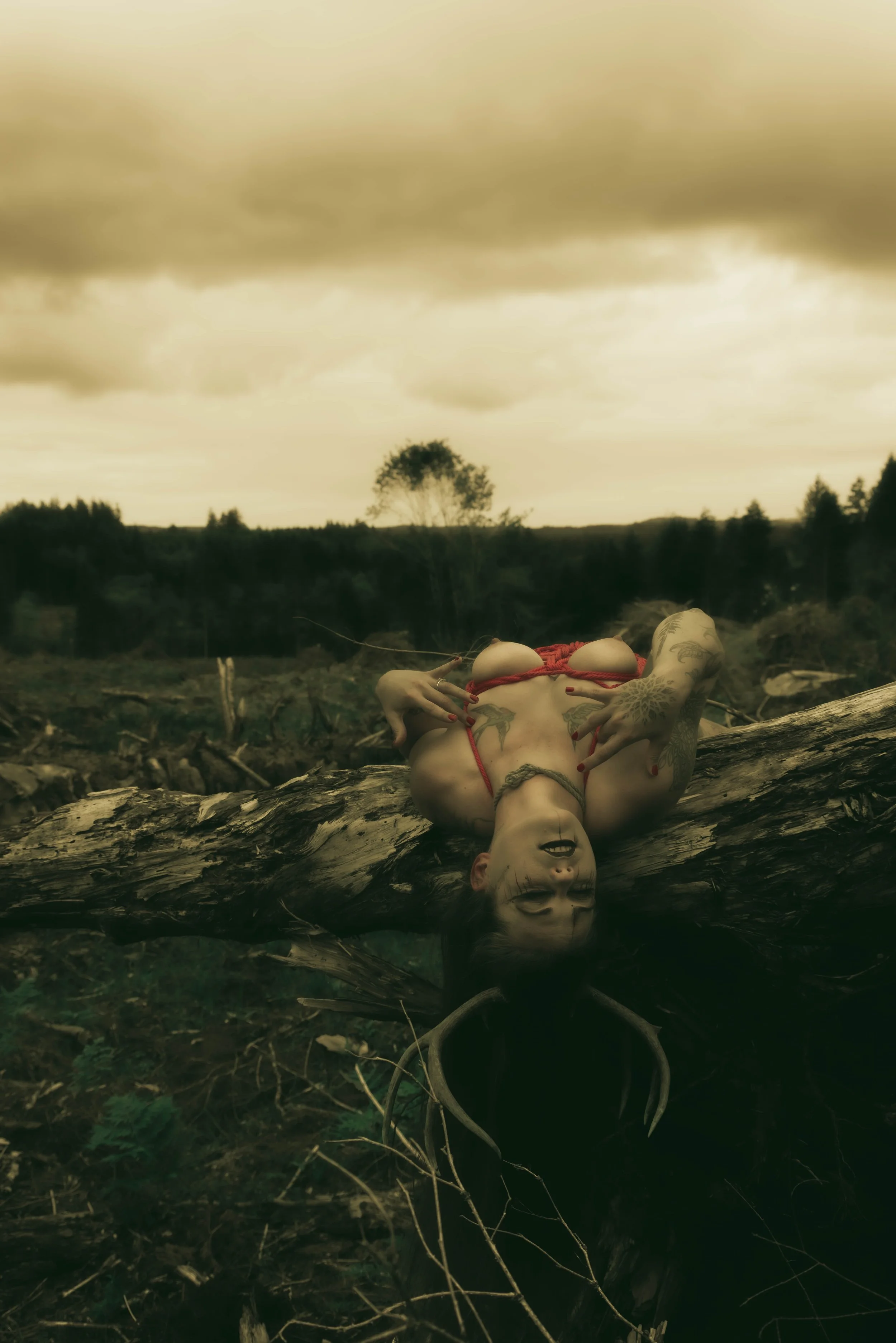 Kiera antlers-32.jpg