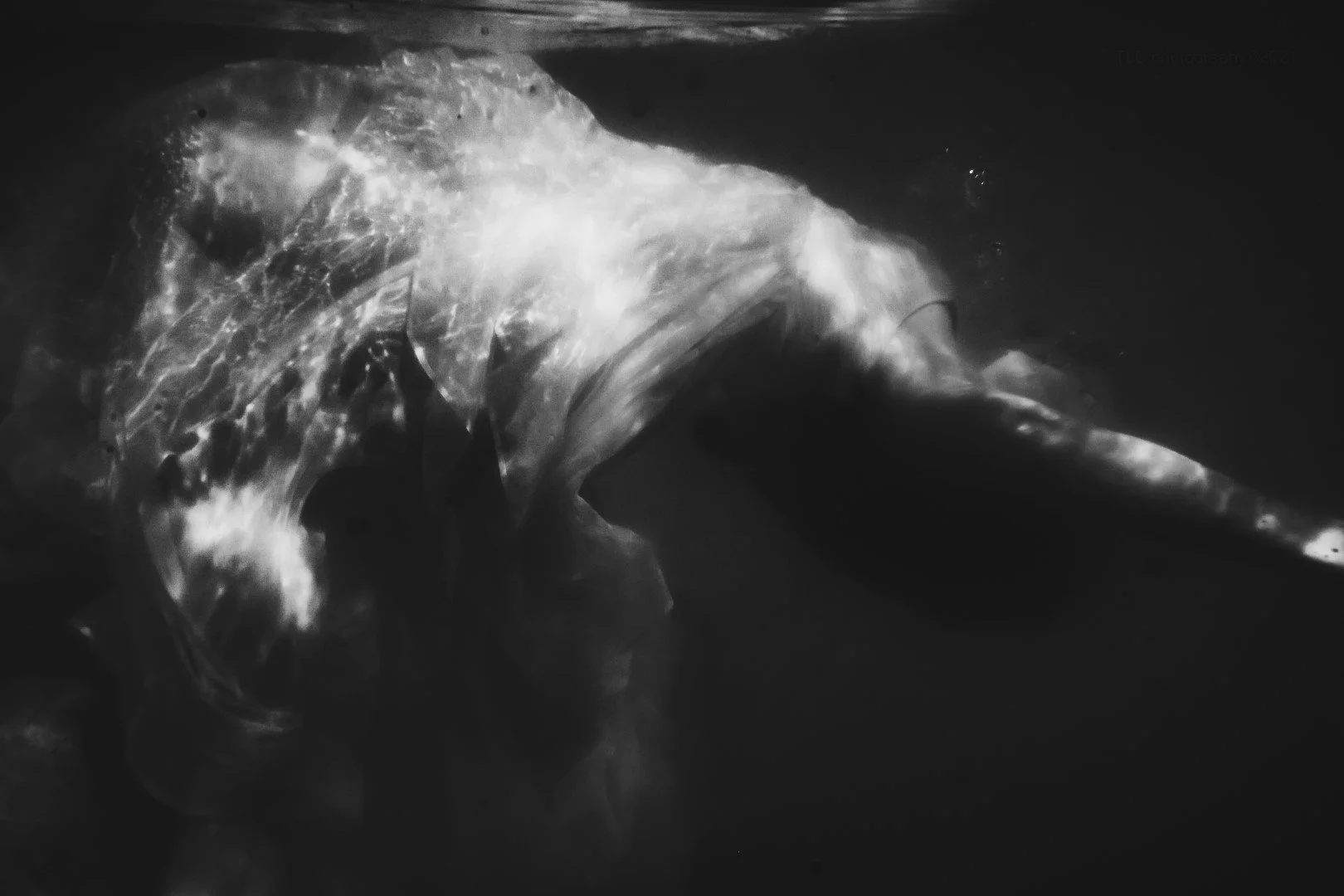 oct 3 pool-57 (Large).JPG