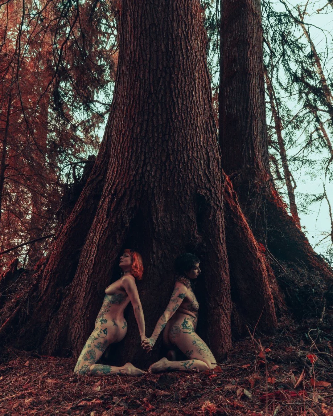 devil tree-8 (Large).JPG