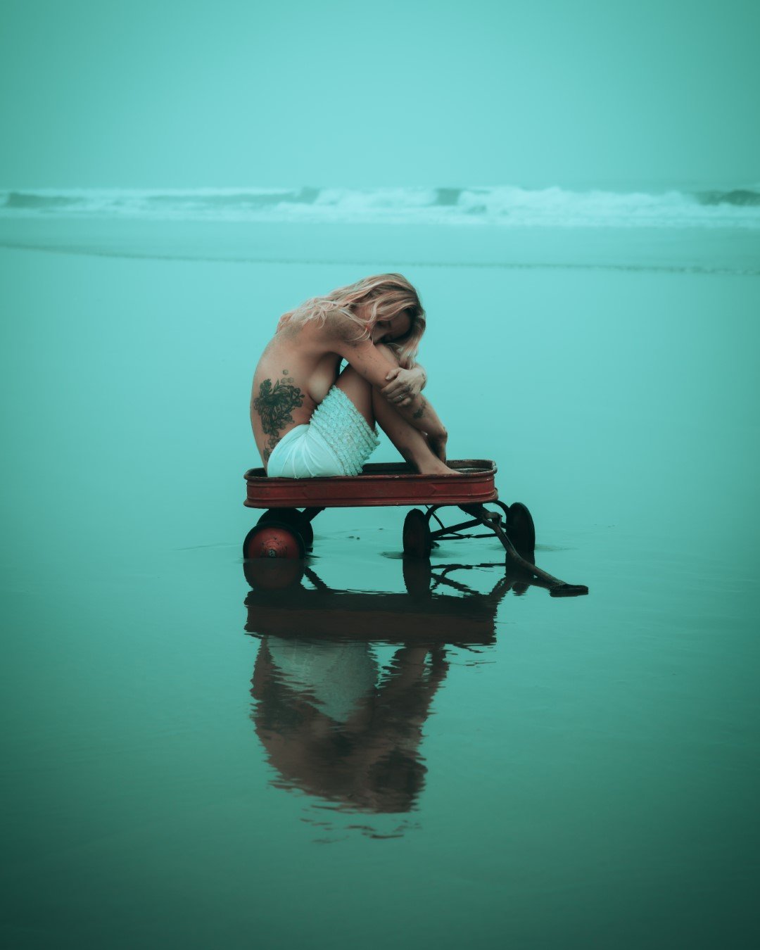 wagon-48 (Large).JPG