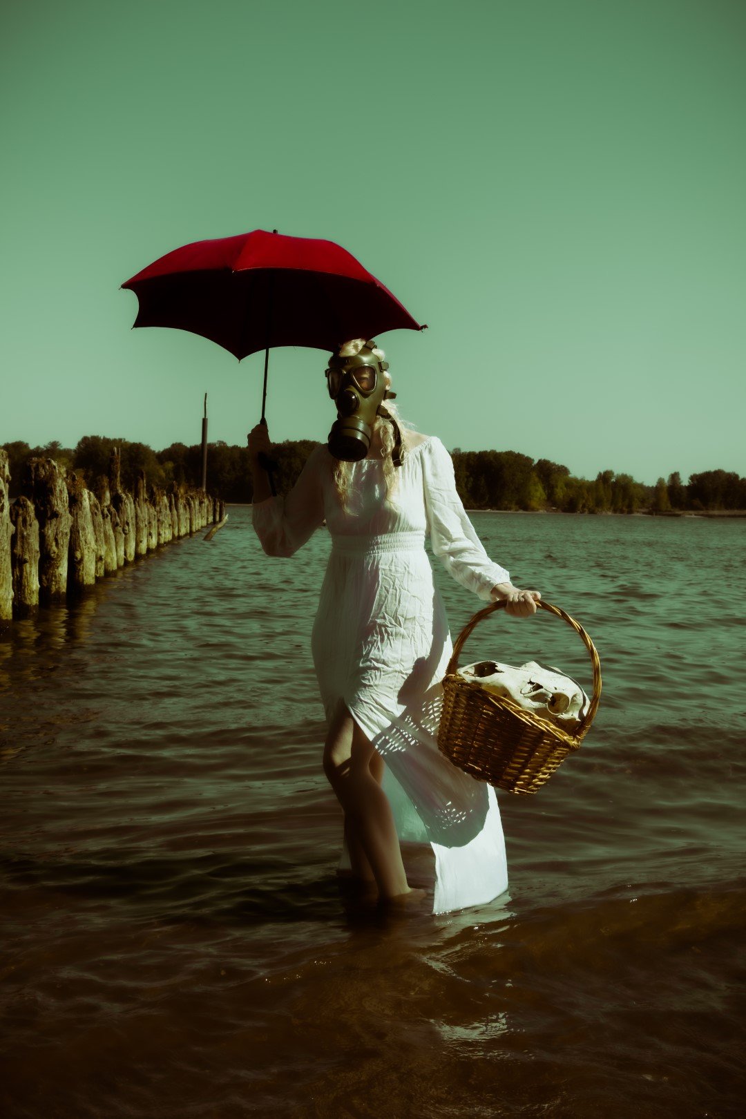 sauvie island experiment day-41 (Large).JPG