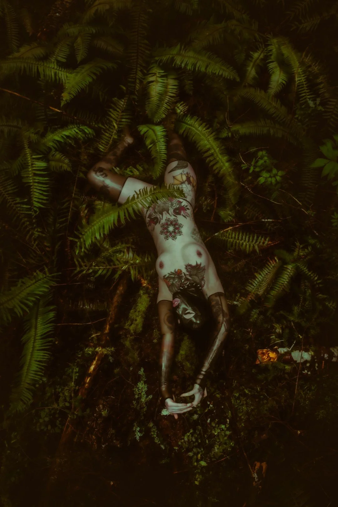 Dani and Gen woods-30 (Large).JPG