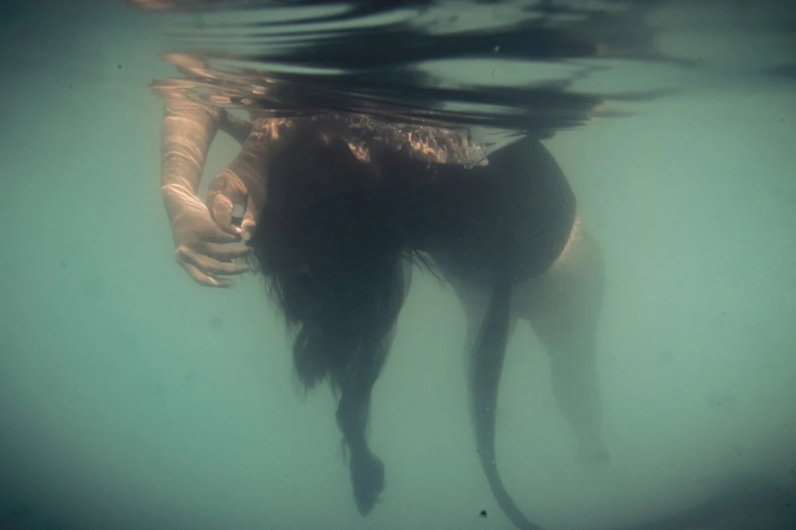 oct 3 pool-117 (Large).JPG