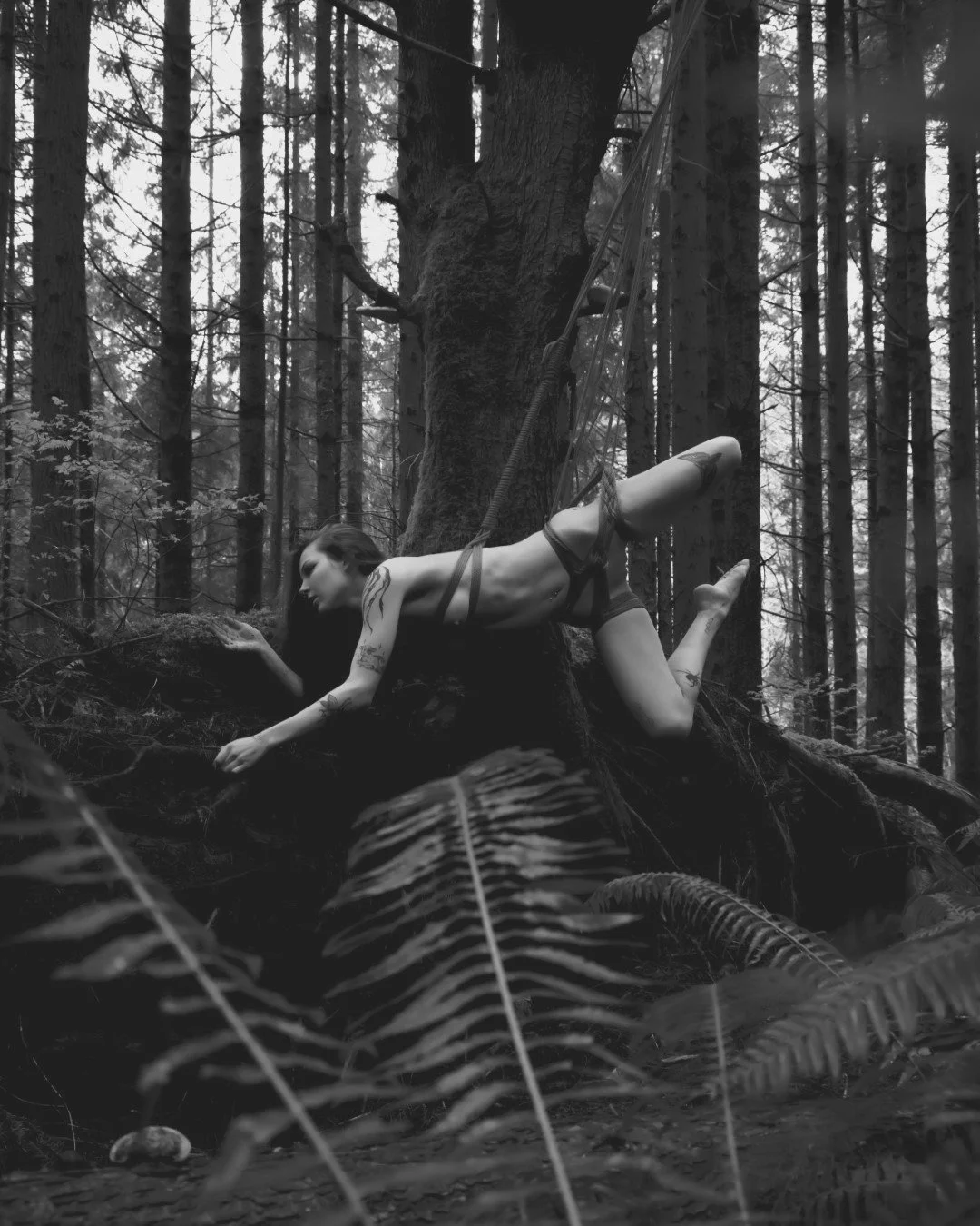 Aliya Rope-15 (Large).JPG