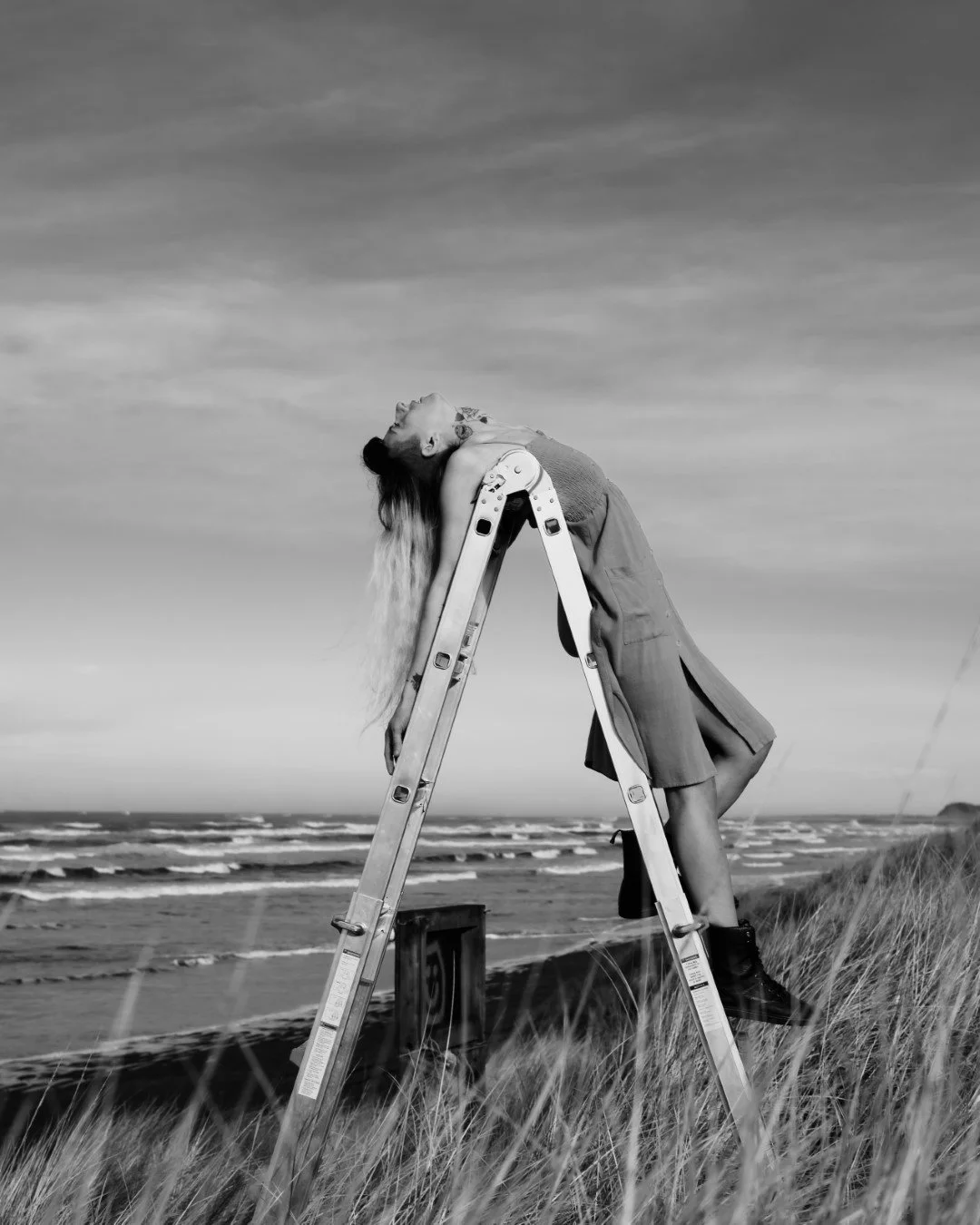 ladder-3 (Large).JPG