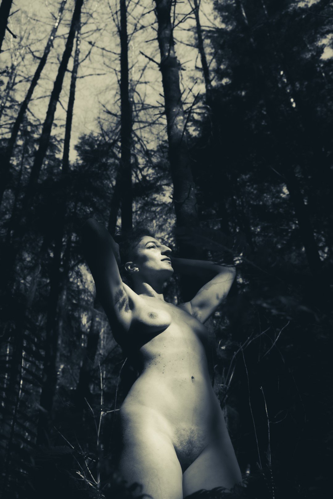 Emergence-37 (Large).JPG