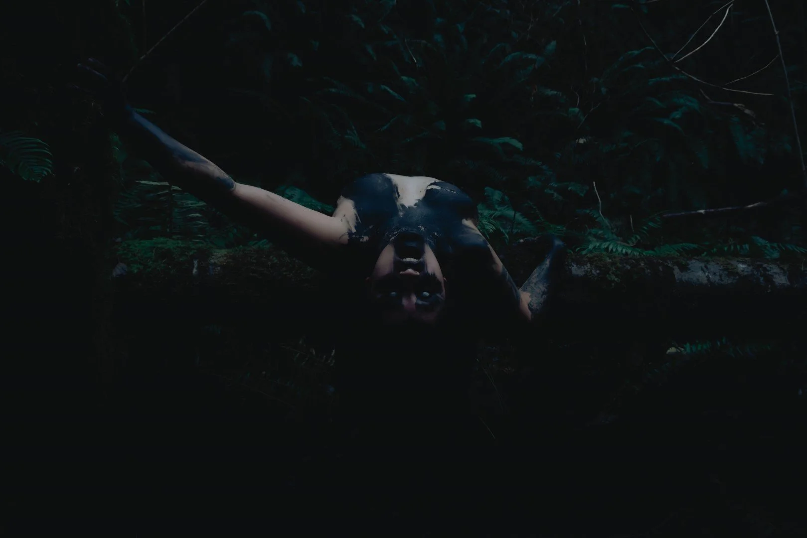 Charred -16 (Large).JPG