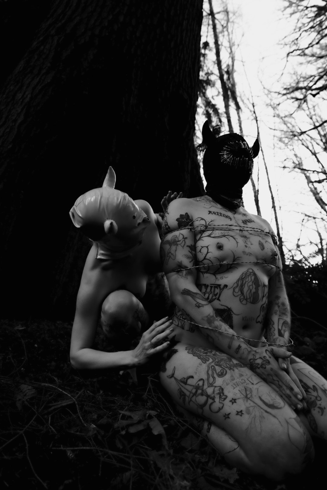 devil tree-44 (Large).JPG