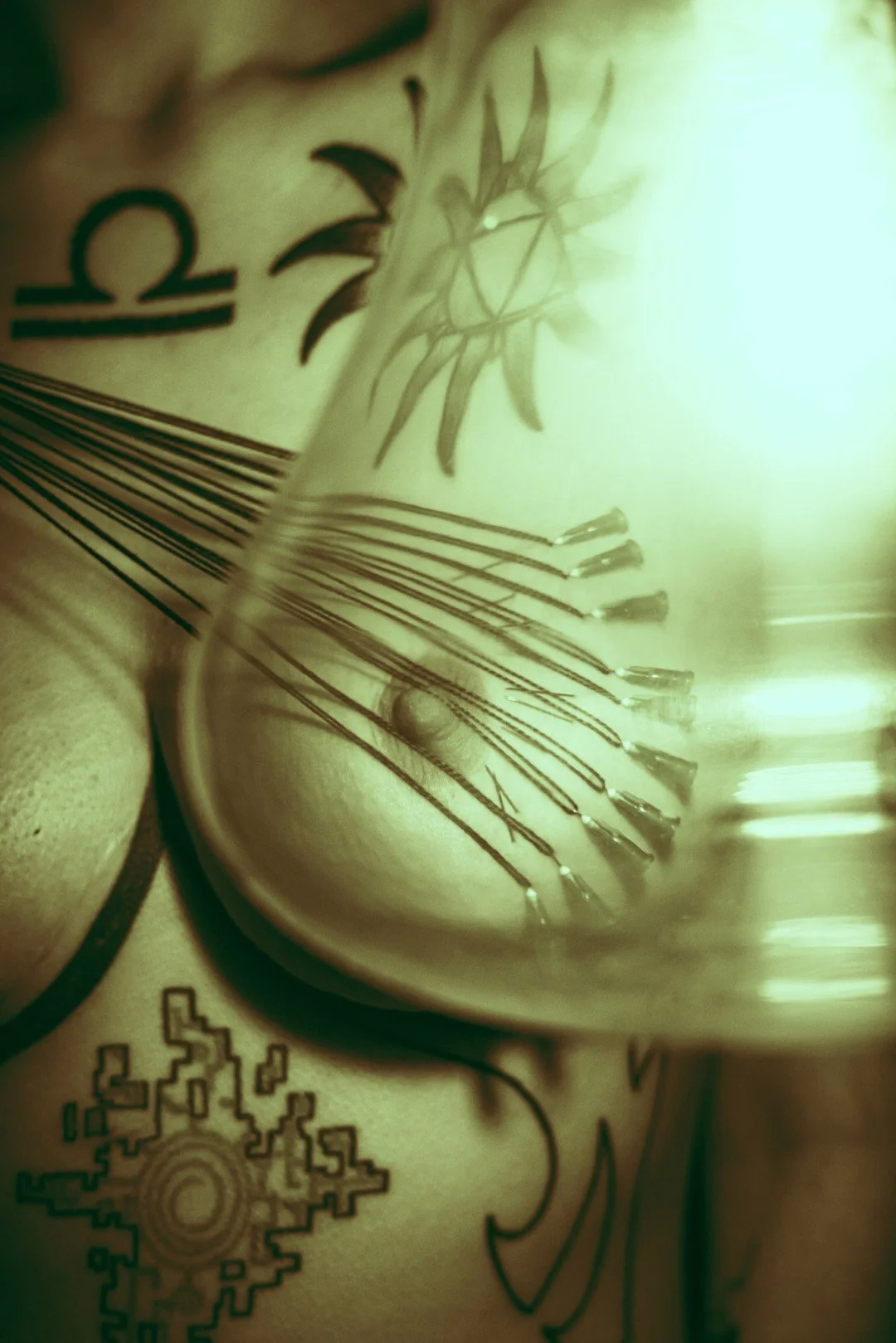 Sin needles-36 (Large).JPG