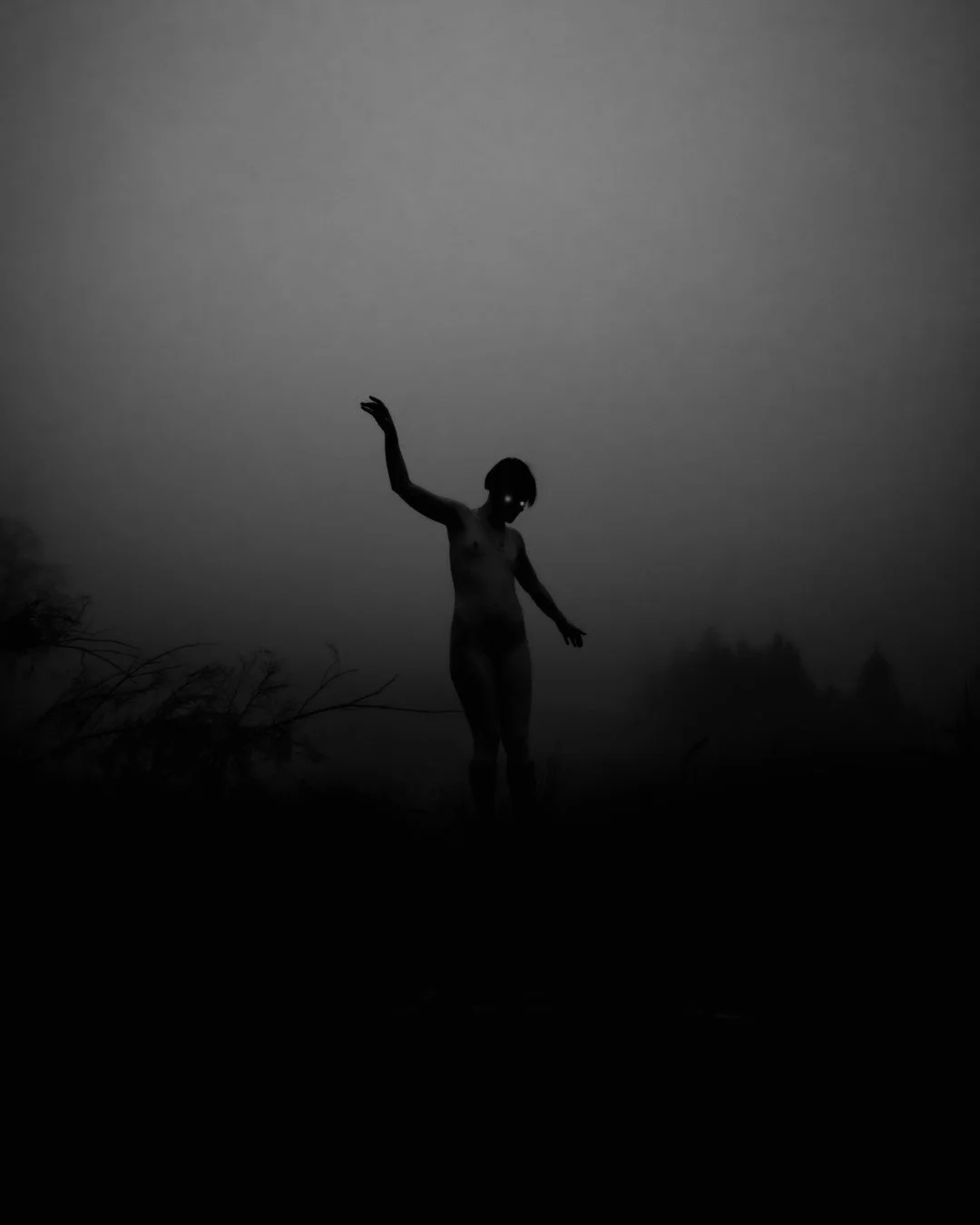 fog-19 (Large).JPG