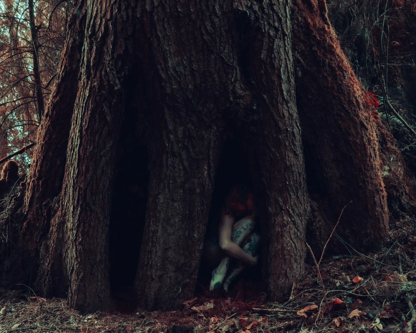 devil tree-14 (Large).JPG