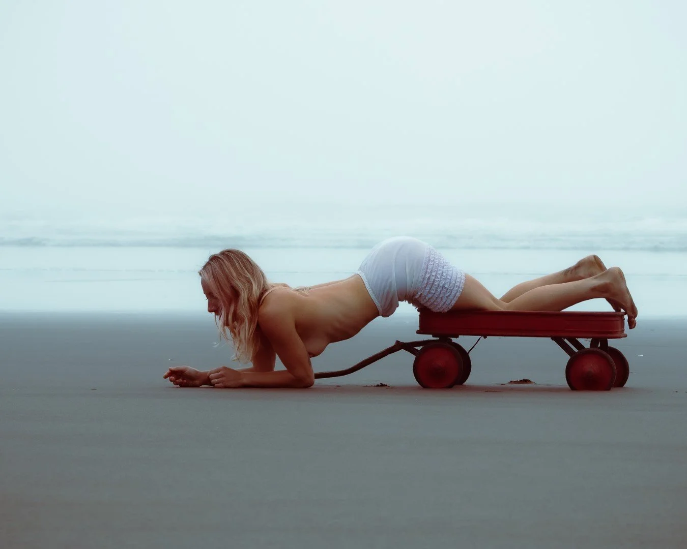 wagon-12 (Large).JPG