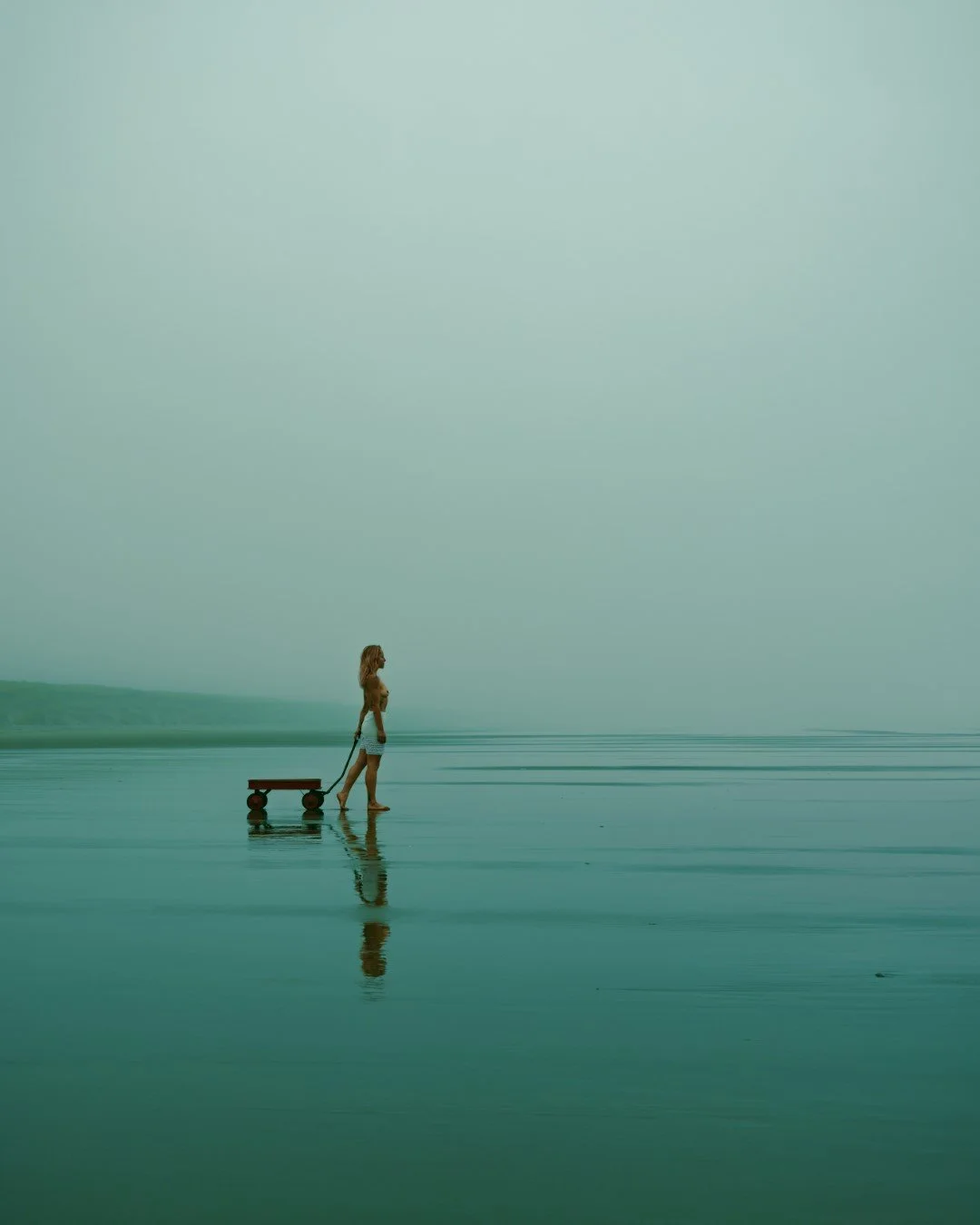 wagon-43 (Large).JPG