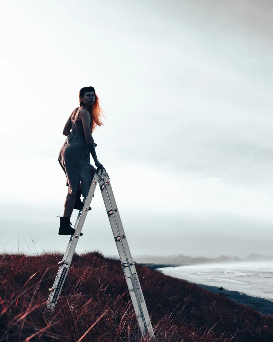 ladder-5 (Large).JPG