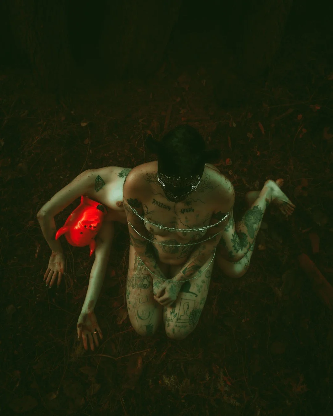 devil tree-41 (Large).JPG