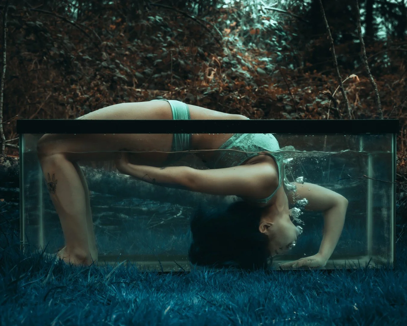 Shy Tank-13 (Large).JPG