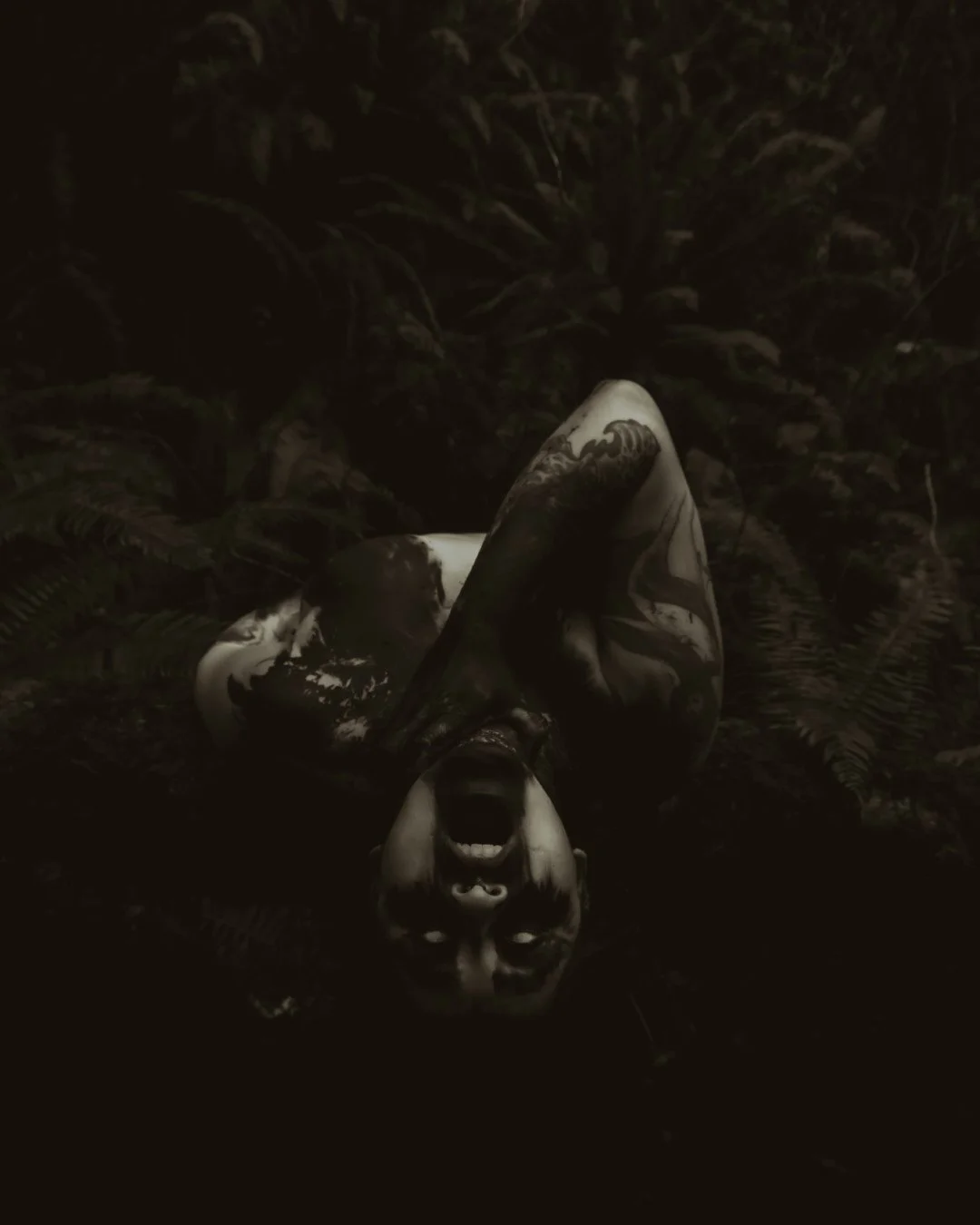 Charred -23 (Large).JPG