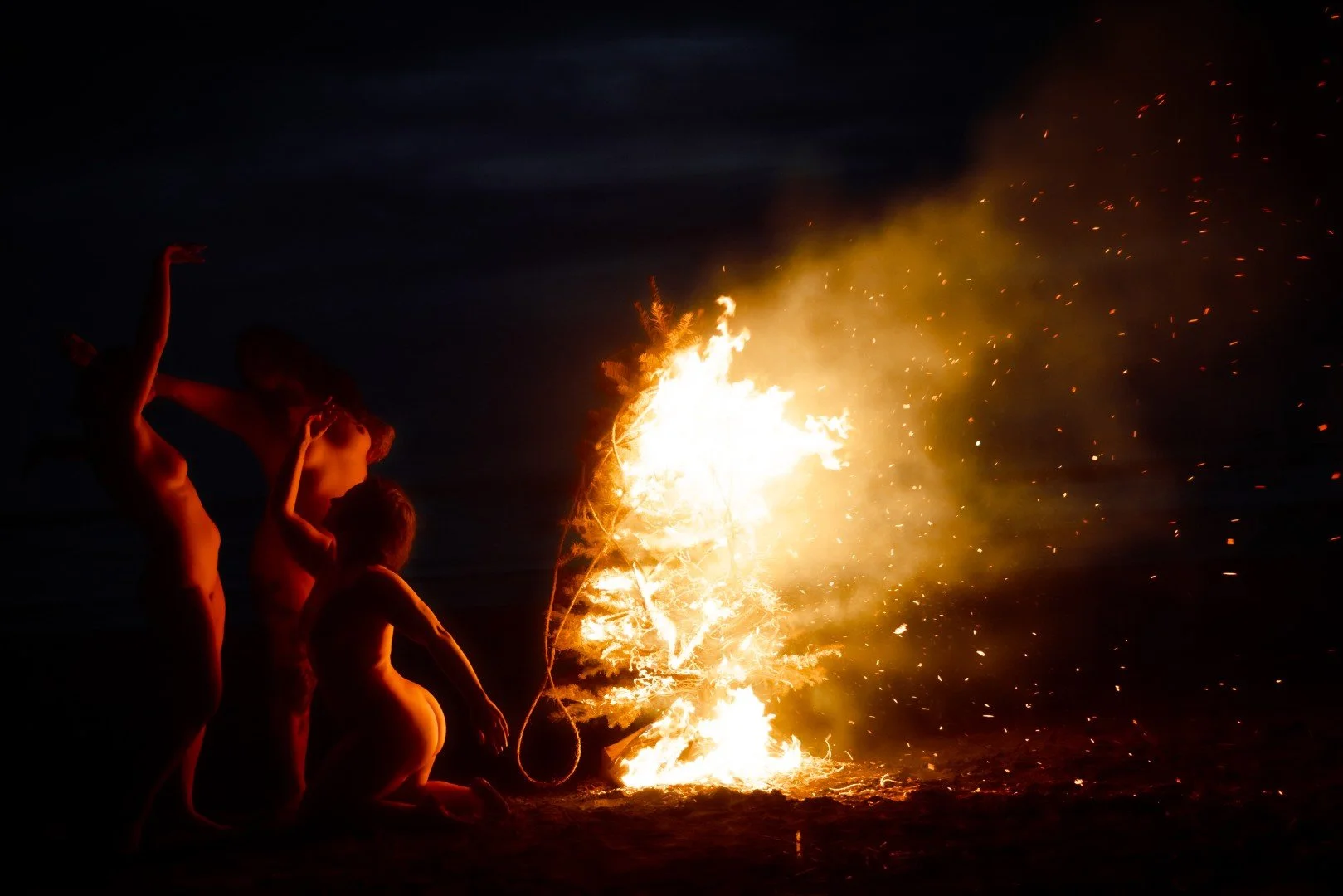 Beach Tree Fire-16 (Large).JPG