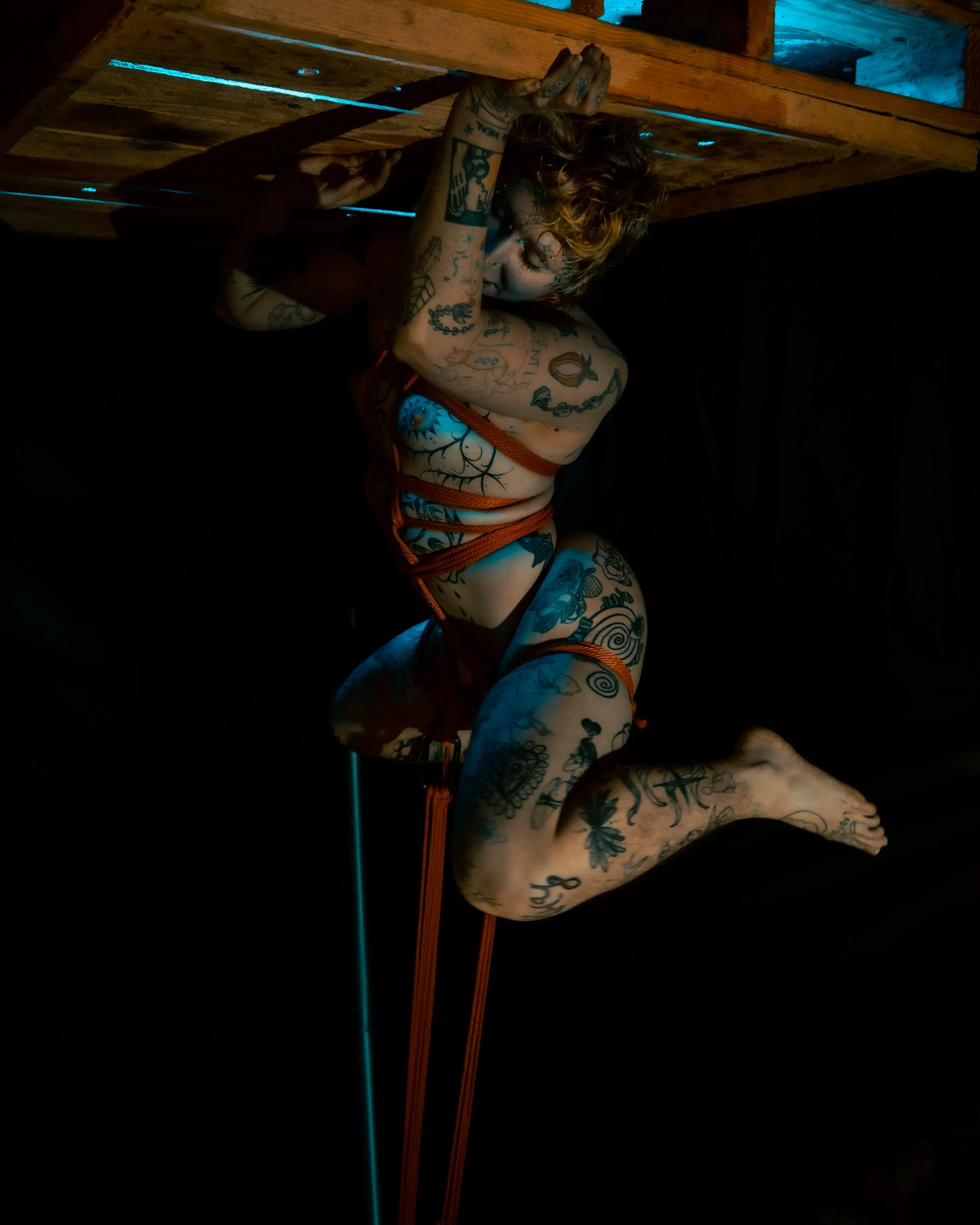 Alice rope and tubes-28.JPG