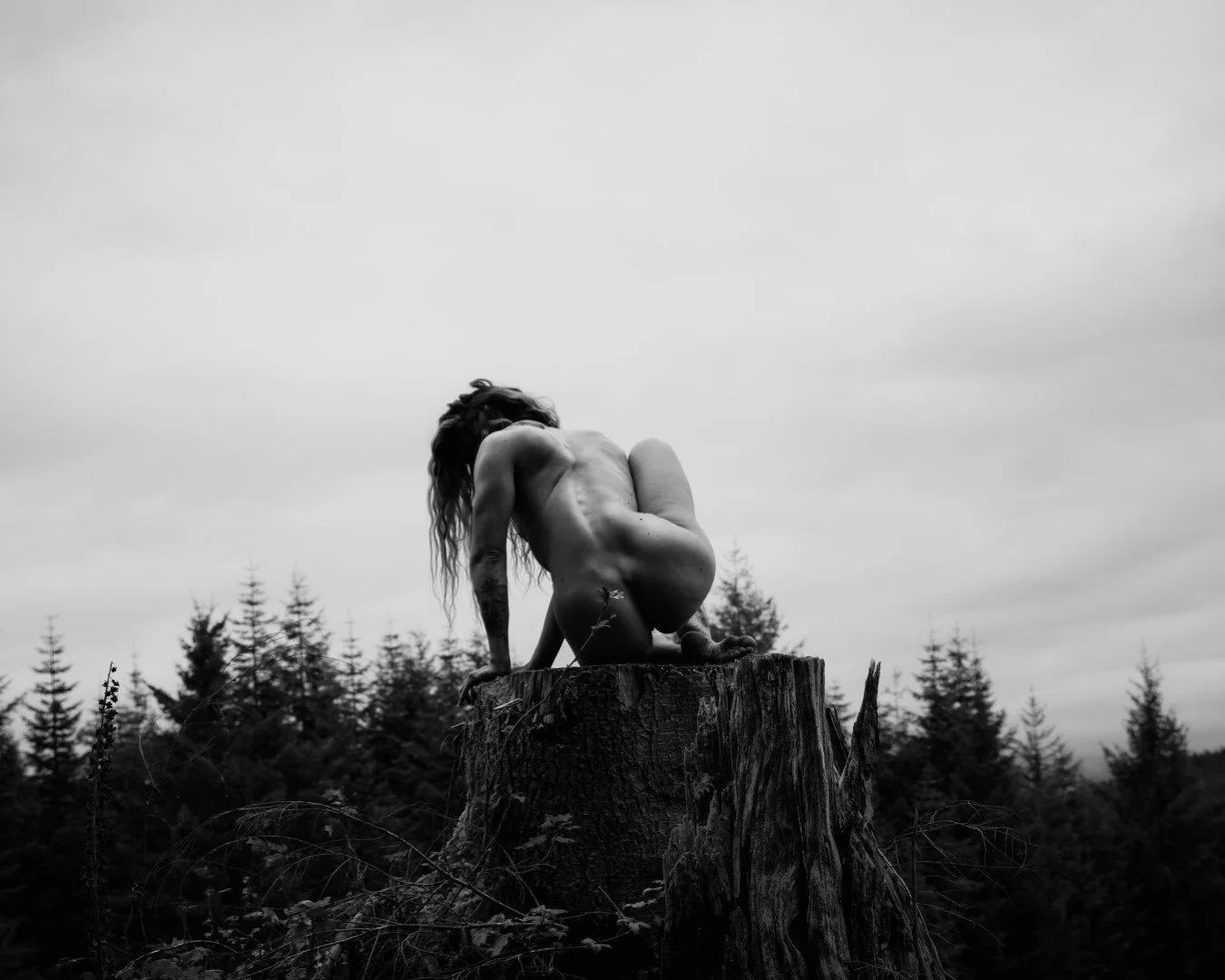 Burdened-28 (Large).JPG