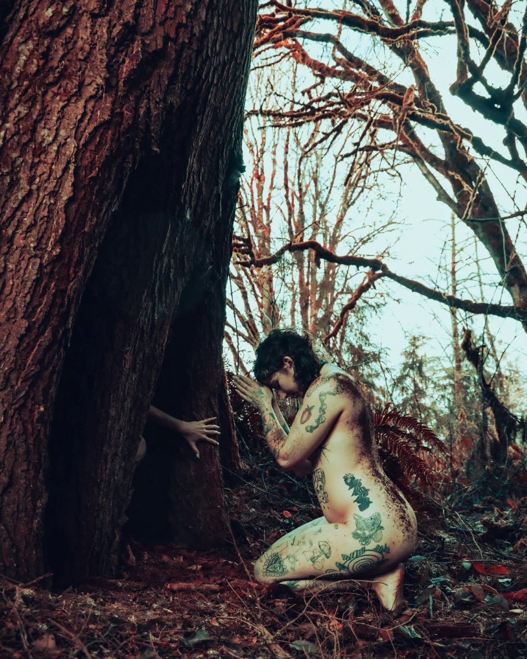 devil tree-21 (Large).JPG