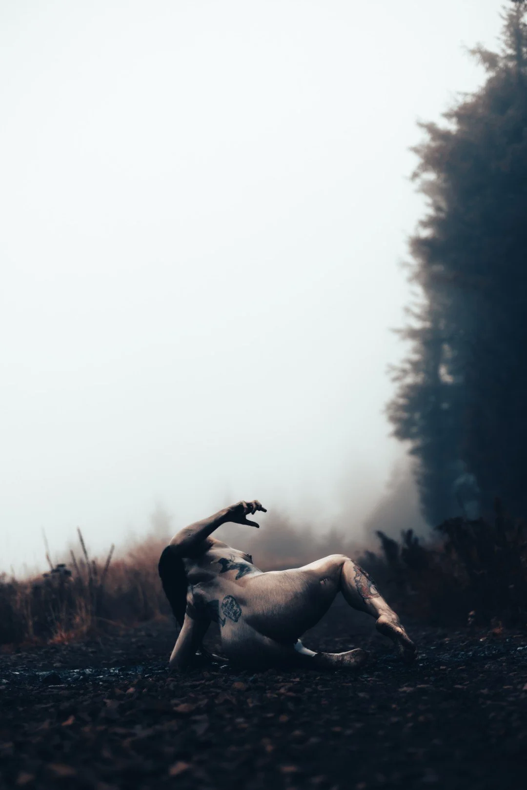 Zander wasp -47 (Large).JPG